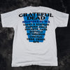 Grateful Dead Summer Tour 93 Liquid Blue XL