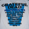 Grateful Dead Summer Tour 93 Liquid Blue XL