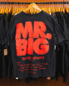 Mr. Big Lean Into It Bump Ahead Tour 94 Euro XL